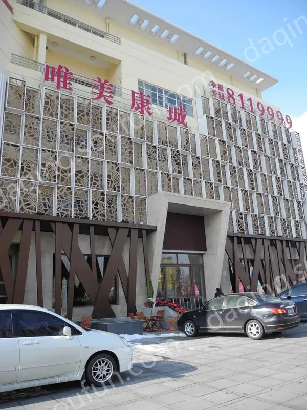 Ψ������