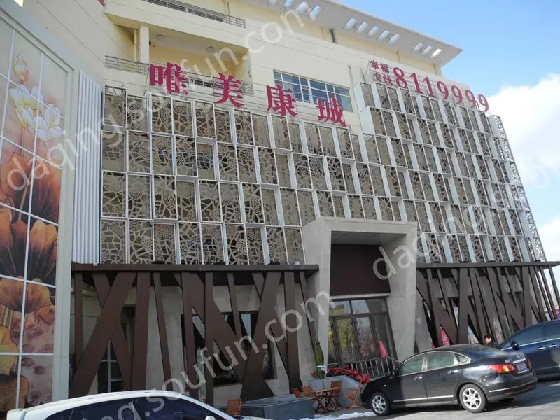 Ψ������