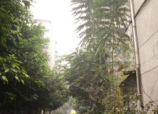 星河路社区3室1厅南