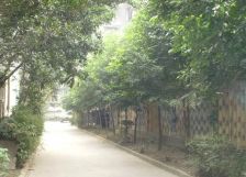 星河路社区3室1厅南