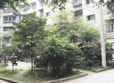 星河路社区3室1厅东南