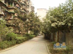 星河路社区2室1厅东南