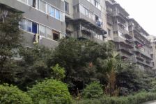 星河路社区2室1厅东