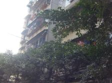 星河路社区2室2厅东南东