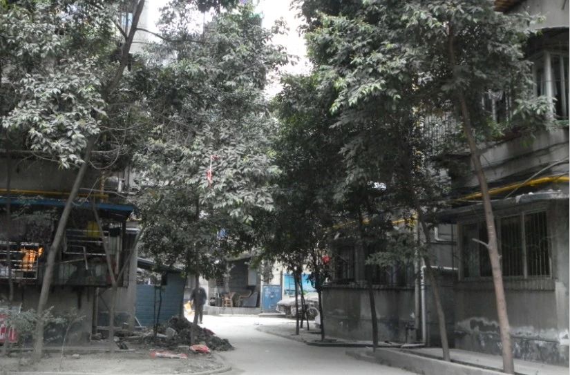 小区相关图