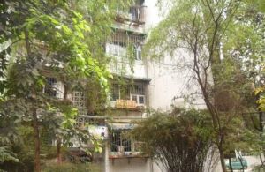 罗家碾街155号2室1厅西南东