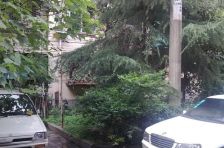 石人南路32号2室1厅东南