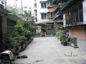 石人南路32号3室2厅南