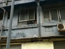 天星桥公交车站柑子村一室一厅拎包入住