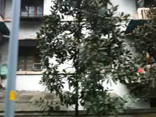 天星桥 柑子村二房31.8万