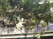 沙正街社区 2室1厅 南