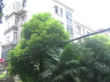 安顺路小区2室南朝向270.00万元/套出售