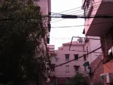 中间楼层,全明两房,推窗见梧桐树