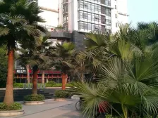 弹子石 富力现代广场一房92.7万