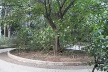 【绿园小区】| 重庆市荣昌县昌元镇公园路绿园小区东1幢B号4层4-1号住房一套