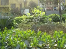 卡萨时光 2室1厅 西南