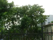 卡沙时光 一楼带露台 三房 拎包入住