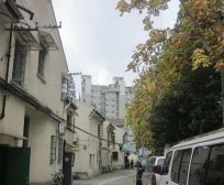 新华路·梅泉别墅·1室·1厅