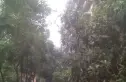 西城丽舍实景图