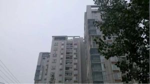 金府世家3室2厅东北