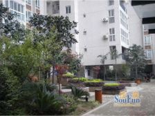 金府世家 3室1厅 北