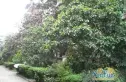 文家东巷17号院实景图