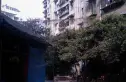文家东巷17号院实景图