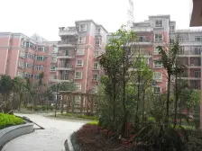 鱼洞 伴山雅居二房20万