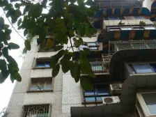 鱼洞 大江五组团二房25万