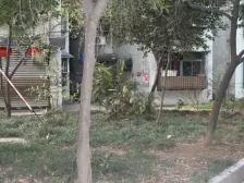 沙正街 东林村二房61万