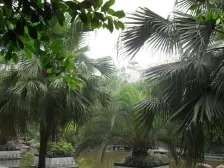 杨家坪 西郊四村二房