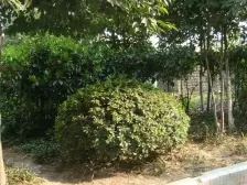 城南新区 联合新村一房