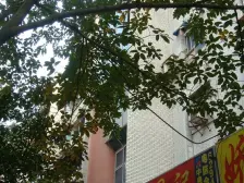 联合新村 2室1厅 东南