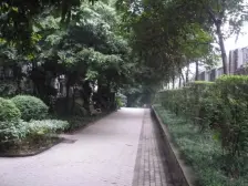 临华路829车站旁 上4楼 户型方正 随时看房