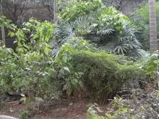 正规三室一厅一厨一卫,交通出行方便