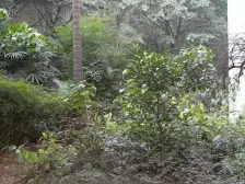 户型结构好 楼层低 配套完善