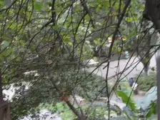 楼梯房 正规两房 户型方正 业主诚心出售