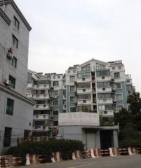 阳明公寓3室2厅南