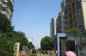 金基蓝钻实景图