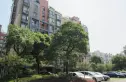金基蓝钻实景图