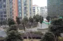 金基蓝钻实景图