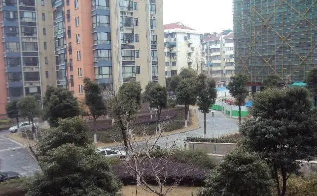 金基蓝钻实景图