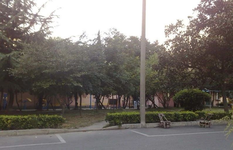 实景图