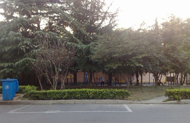 实景图