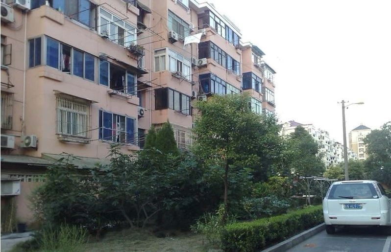 实景图