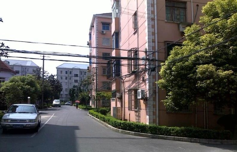 实景图