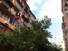 宁锦小区 1室1厅 南