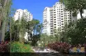 伊比亚河畔实景图