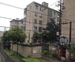 腾飞新村2室1厅南