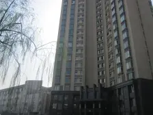 2011年商品房,有电梯,南北全明2室